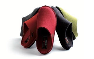 德国110年打造拖鞋界爱马仕 穿着舒服到哭,保暖不变形丨优品